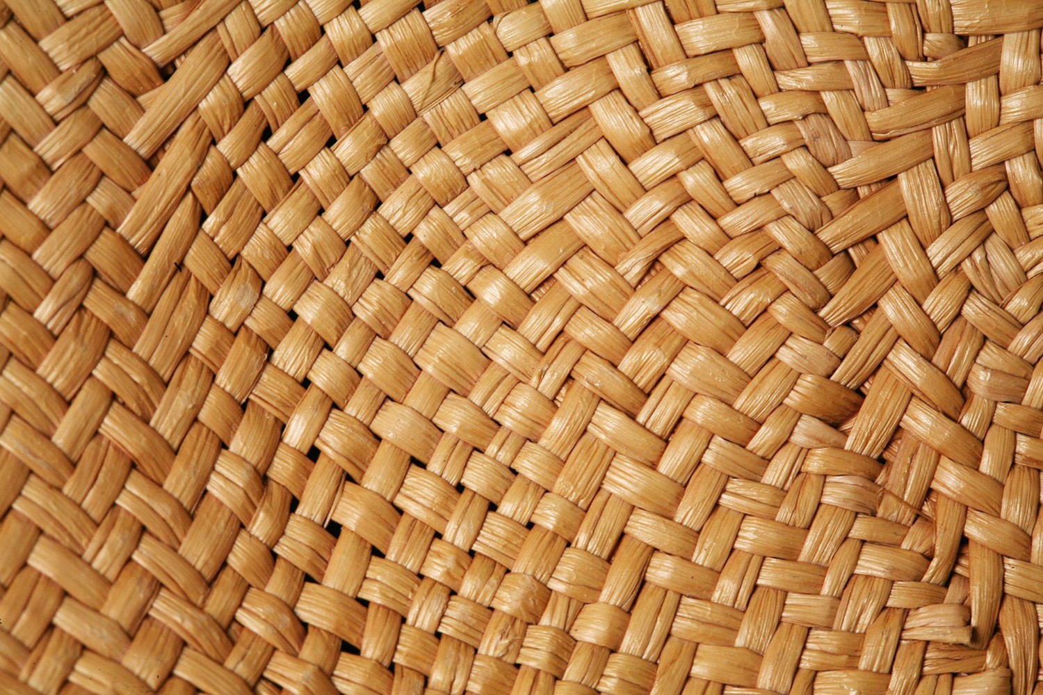 Peneira